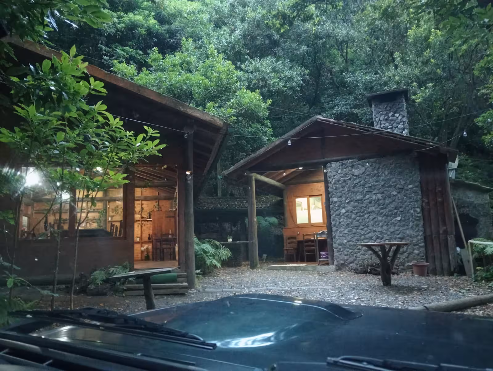Cozy rustic forest cabin with warm interior lights perfect for exclusive private guided group tours up to 4 people.