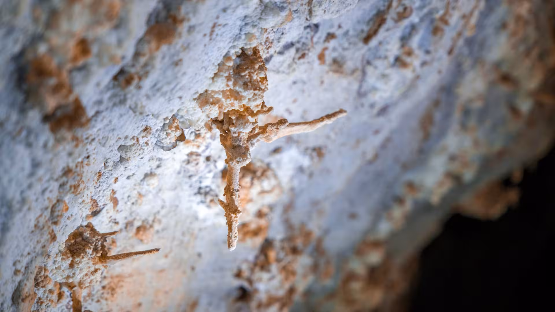 Close-up of limestone formations inside Sa Nurre de Su Hoda cave, showcasing intricate geological details.