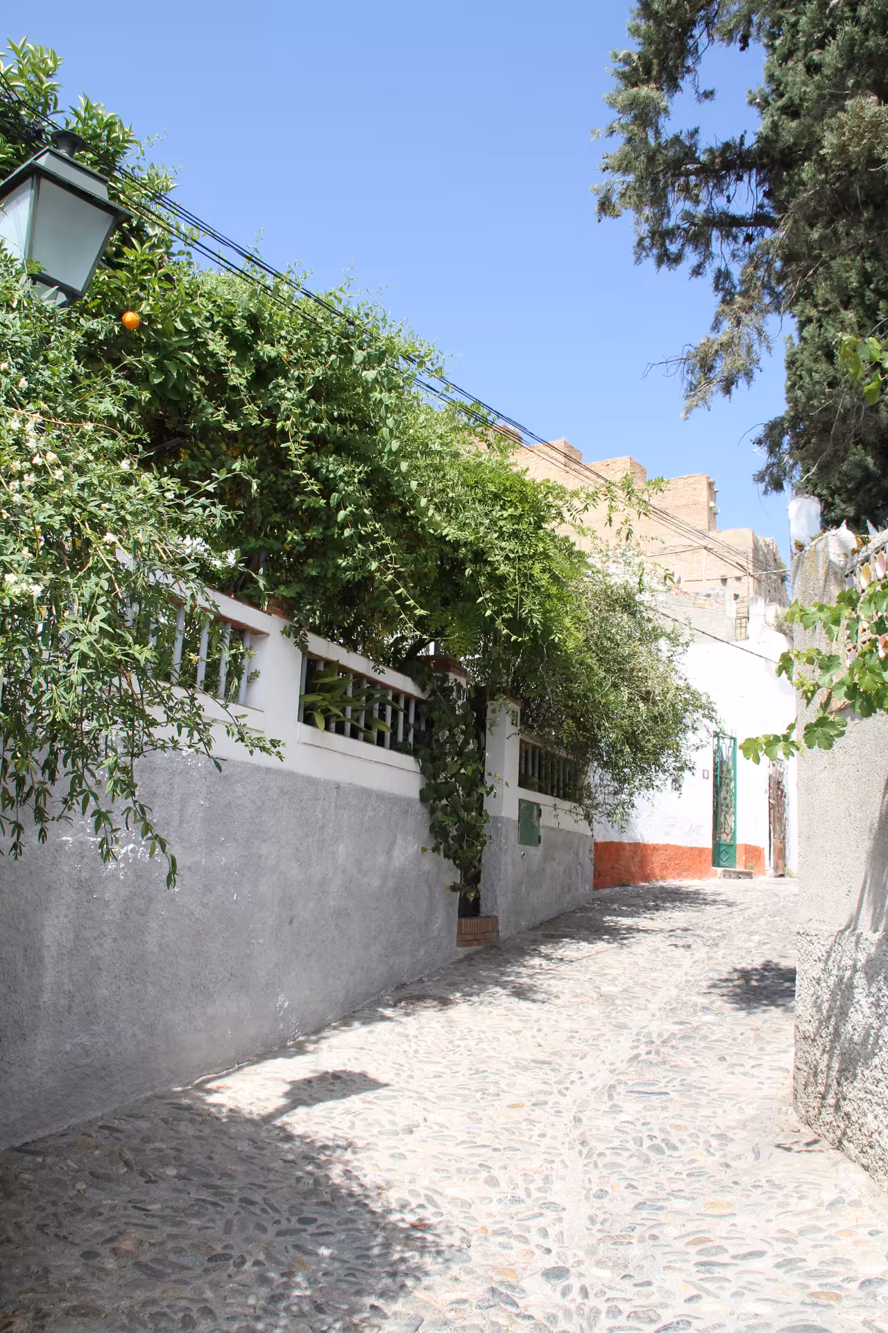 Scenic cobblestone street in Sacromonte lined with lush greenery and traditional whitewashed walls.