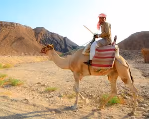 Person riding a camel through desert landscape near rocky mountains in Safaga, Egypt