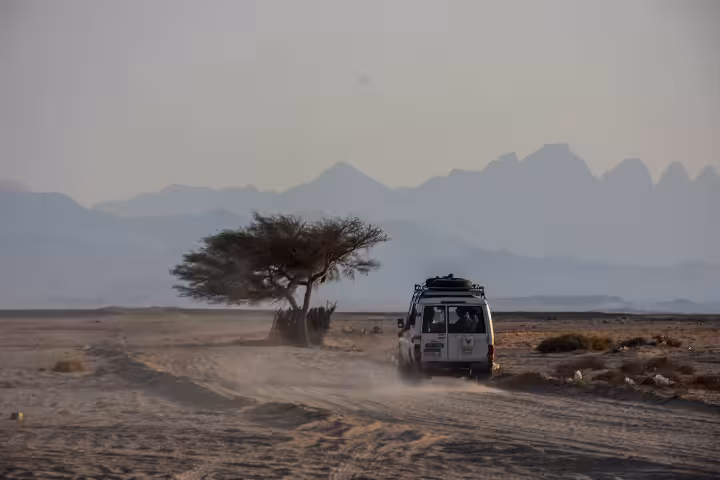 4x4 jeep driving through sandy desert with acacia tree and mountains in Safaga, Egypt
