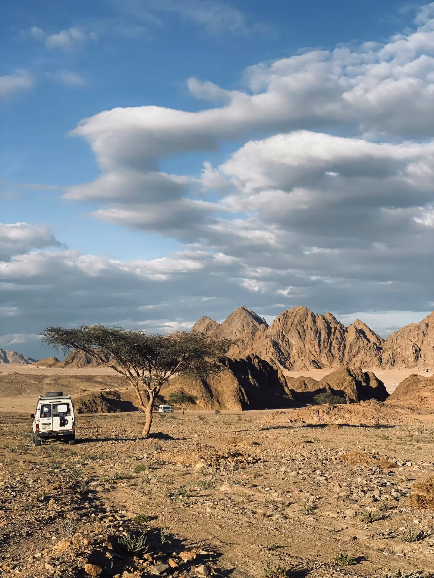 White jeep parked near acacia tree in rocky Egyptian desert with rugged mountains and cloudy blue sky