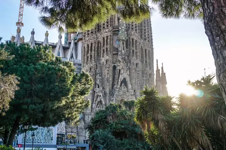Stunning view of Sagrada Familia in Barcelona with lush greenery and sunlight, perfect for cultural and architectural tours.