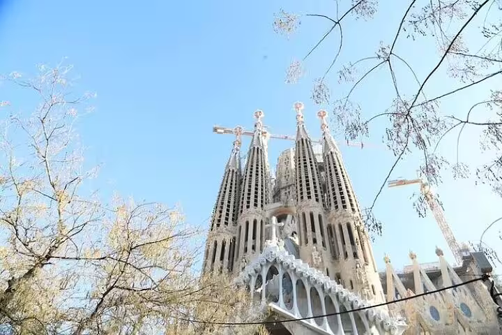 Sagrada Familia spires and cranes rising above trees on a clear day, seen on a priority access insider tour in Barcelona