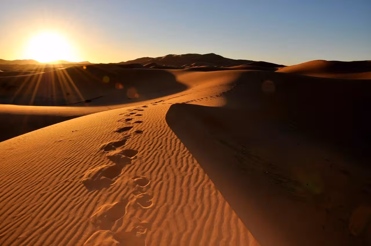 Footprints leading through the sunlit sand dunes of the Sahara Desert during a stunning sunrise.