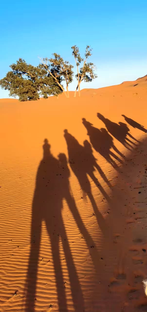 Long shadows on Sahara dunes at golden hour, Merzouga desert walk and sunset experience on Morocco tour