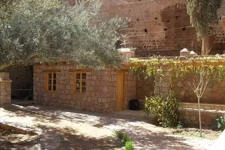 Stone courtyard and olive tree at Saint Catherine’s Monastery, Sinai, on day tour from Sharm El Sheikh