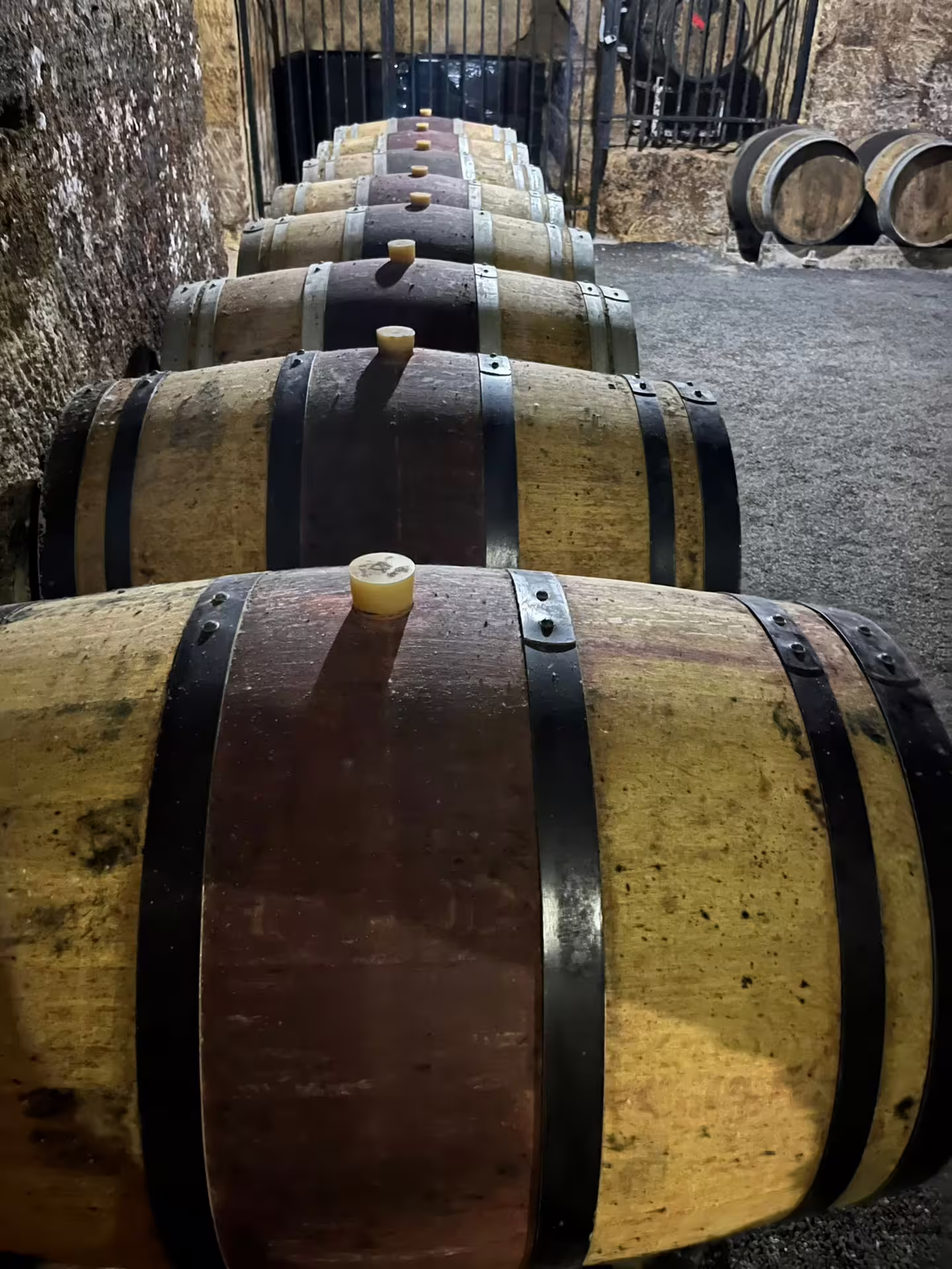 Oak barrels in Saint-Émilion limestone cave cellar, part of small group walking tour and wine tasting