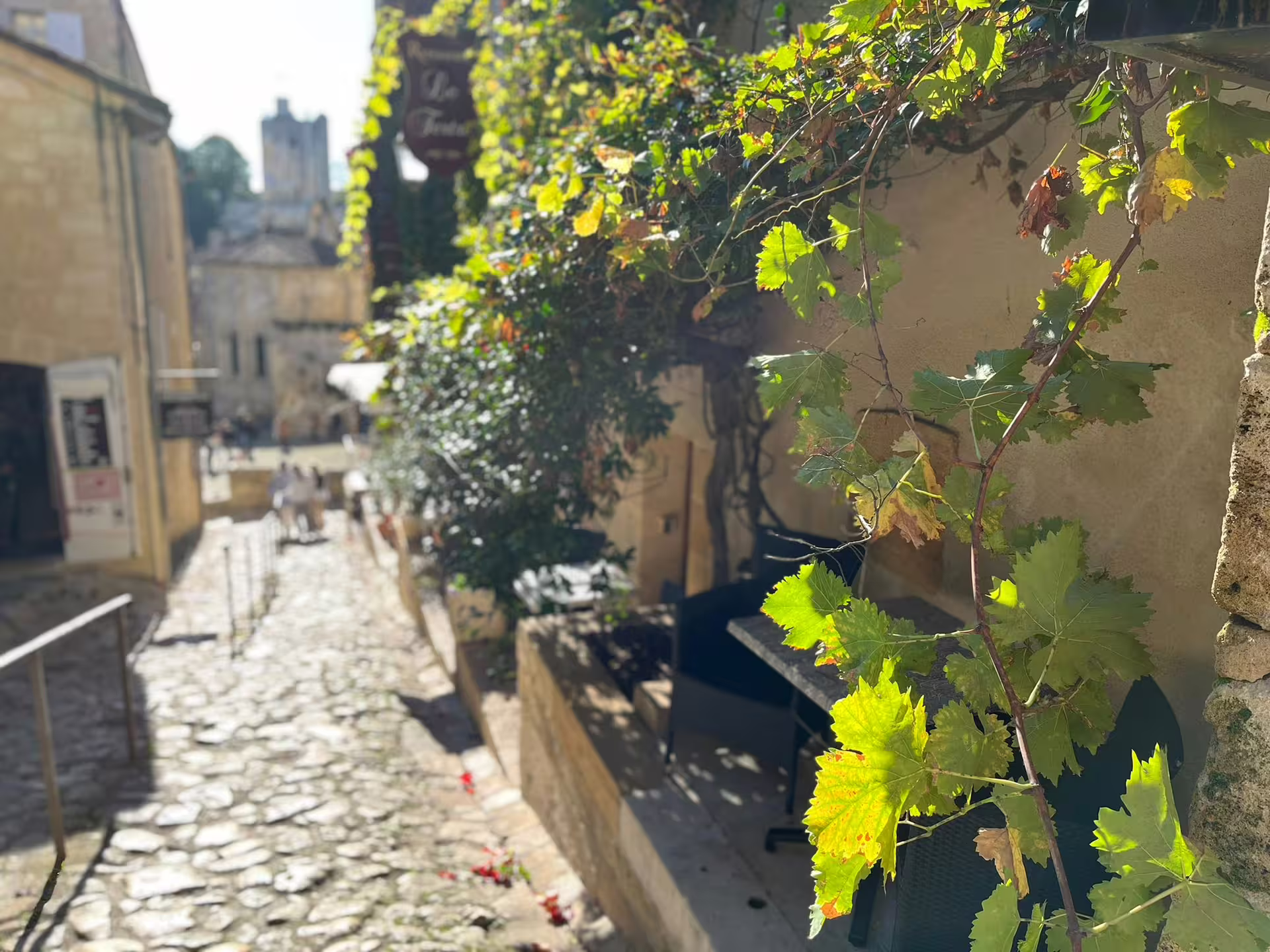 Vine-covered cobblestone lane in Saint-Émilion on small group walking tour before cave wine tasting