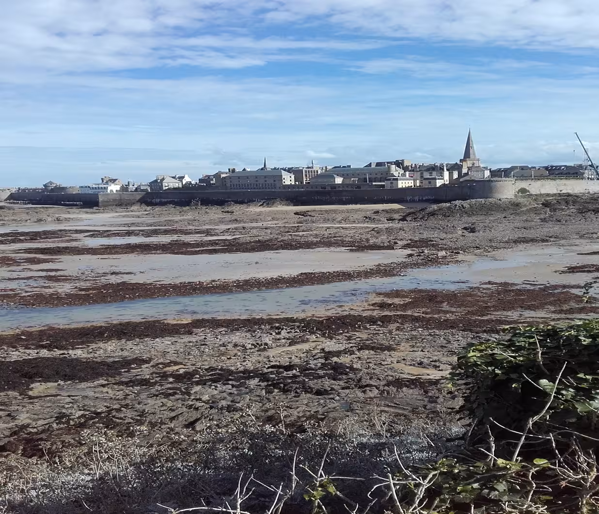 Saint-Malo walled city viewed across rocky tidal flats at low tide with church spire and ramparts visible