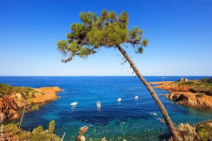 Turquoise Mediterranean cove with moored boats, red rocky coastline and leaning pine tree near Saint-Tropez, French Riviera