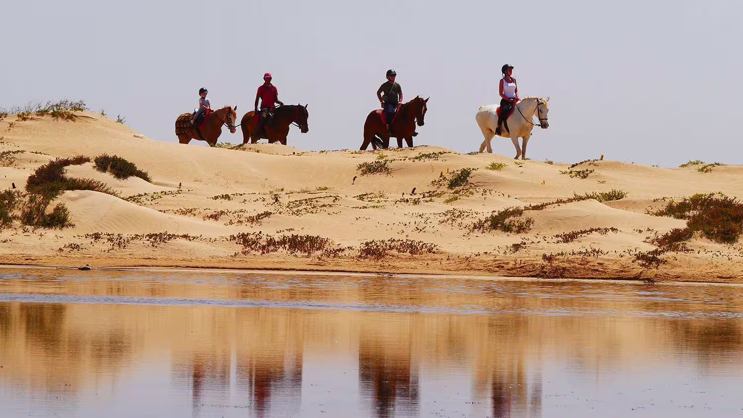 Group horseback riding across golden sand dunes with reflections in tranquil water, perfect for Sal Island adventures.