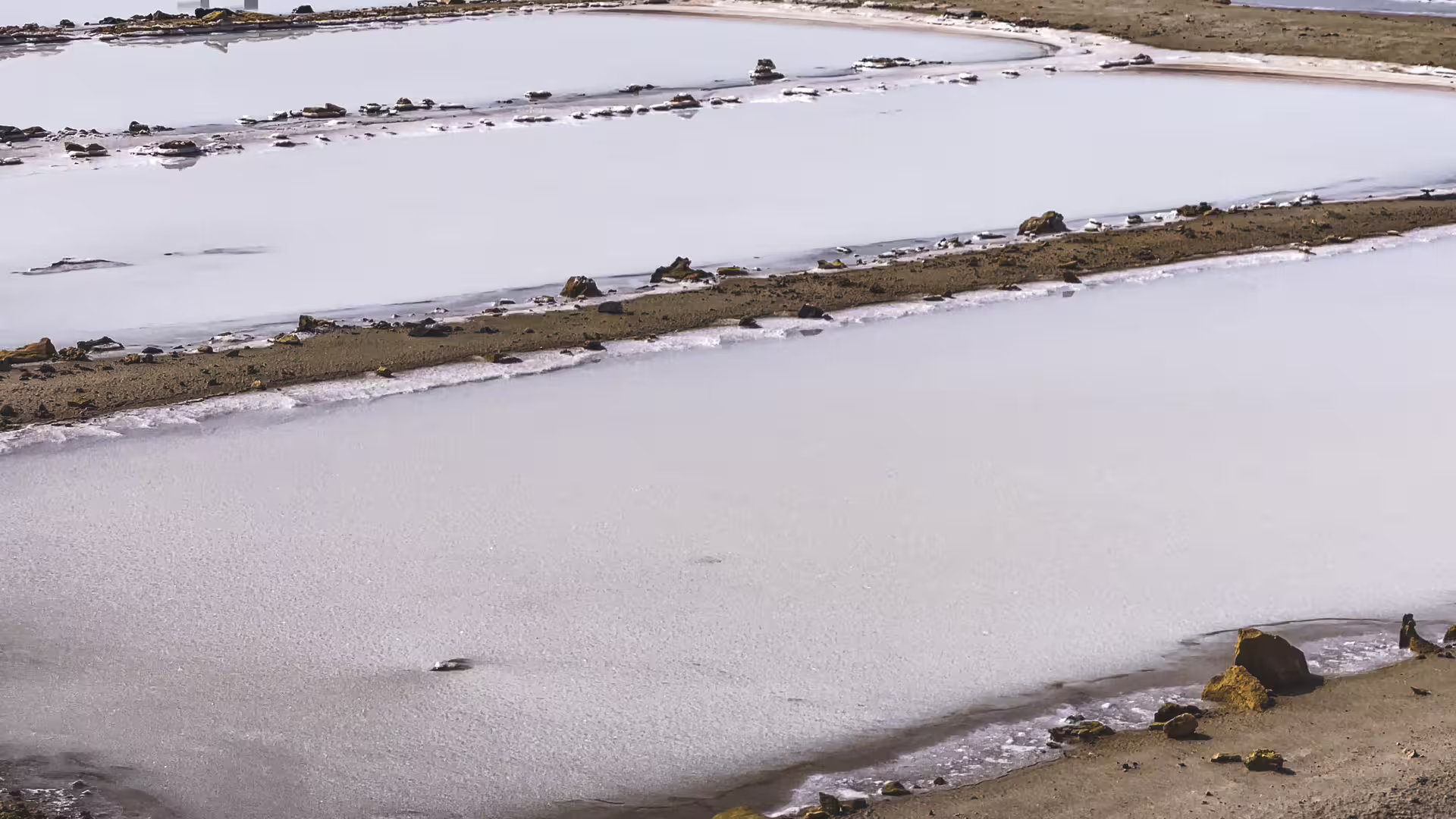 Close-up of shimmering salt ponds at Pedra de Lume salt flats, stop on Sal Island all-inclusive day trip