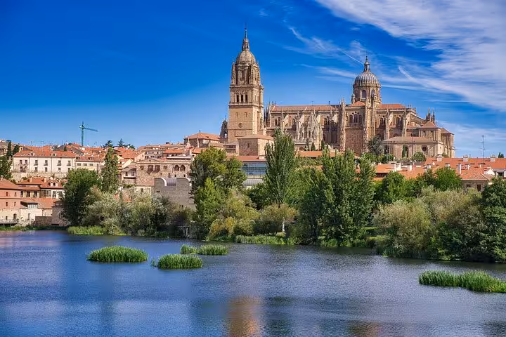 Panoramic view of Salamanca Cathedral and Tormes River, perfect for a private 2-hour city walk with a local guide.