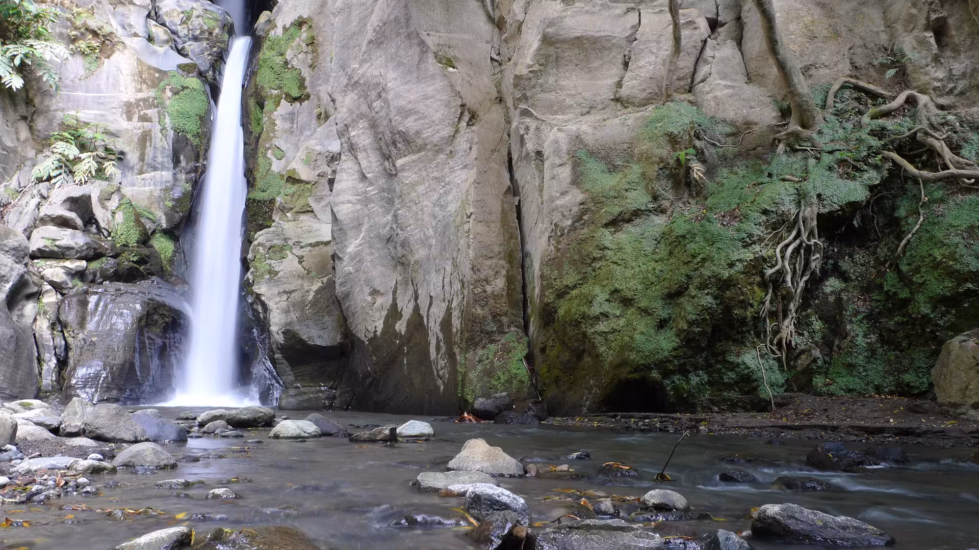 Salto do Cabrito waterfall in Ribeira Grande canyon, São Miguel, a scenic spot on half-day canyoning tour