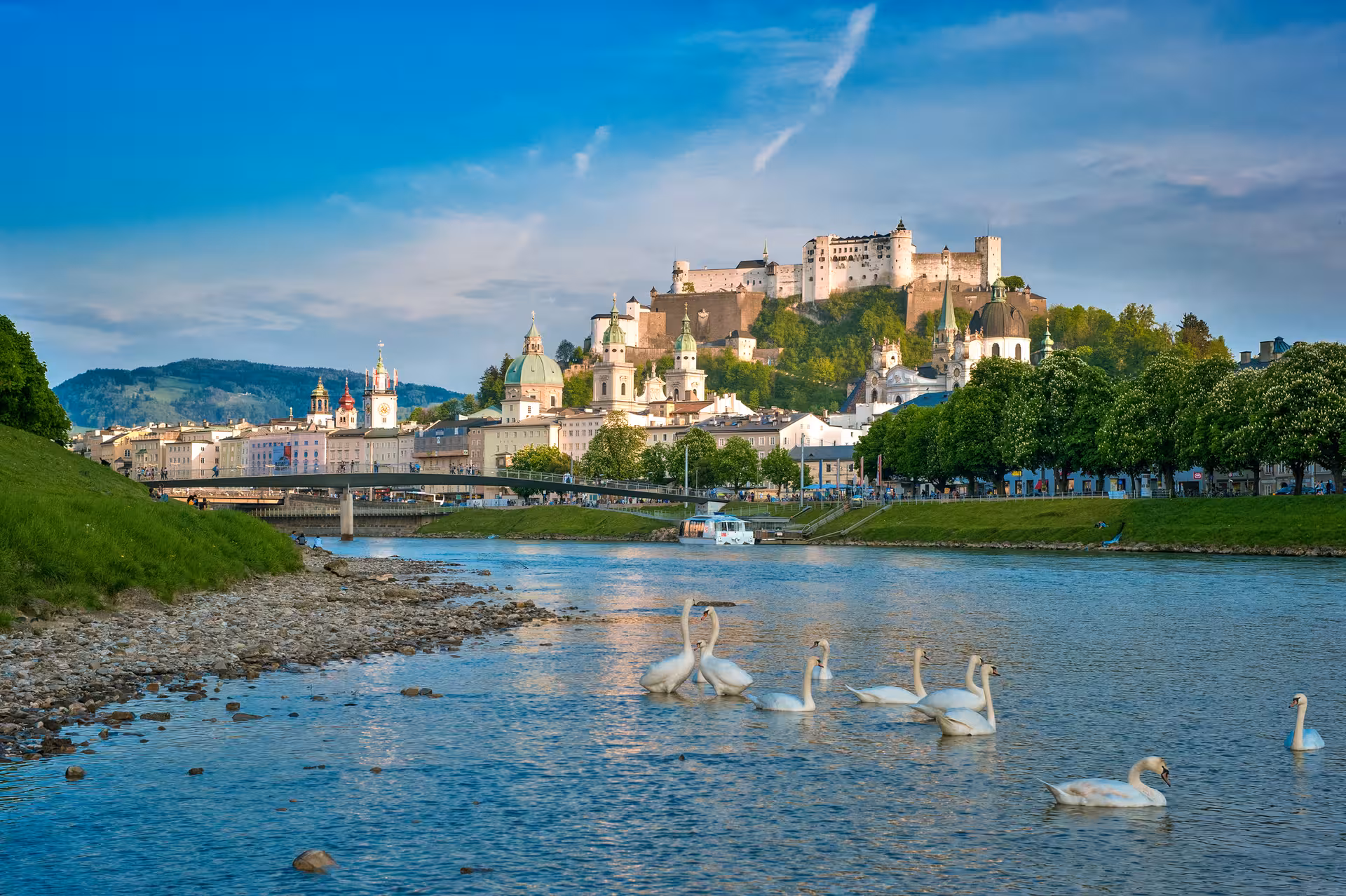 Swans gliding on the Salzach River with Hohensalzburg Fortress and Salzburg old town skyline in background