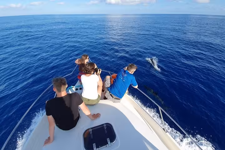 Boat trip to Samadai Reef Dolphin House Marsa Alam, guests spotting dolphins on Red Sea cruise