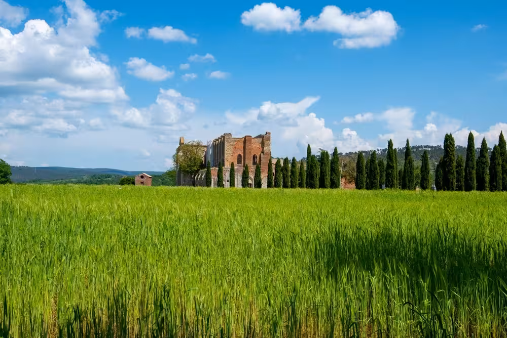 Lush green fields leading to the mysterious San Galgano Abbey, a serene stop on the Tuscany day trip from Florence.