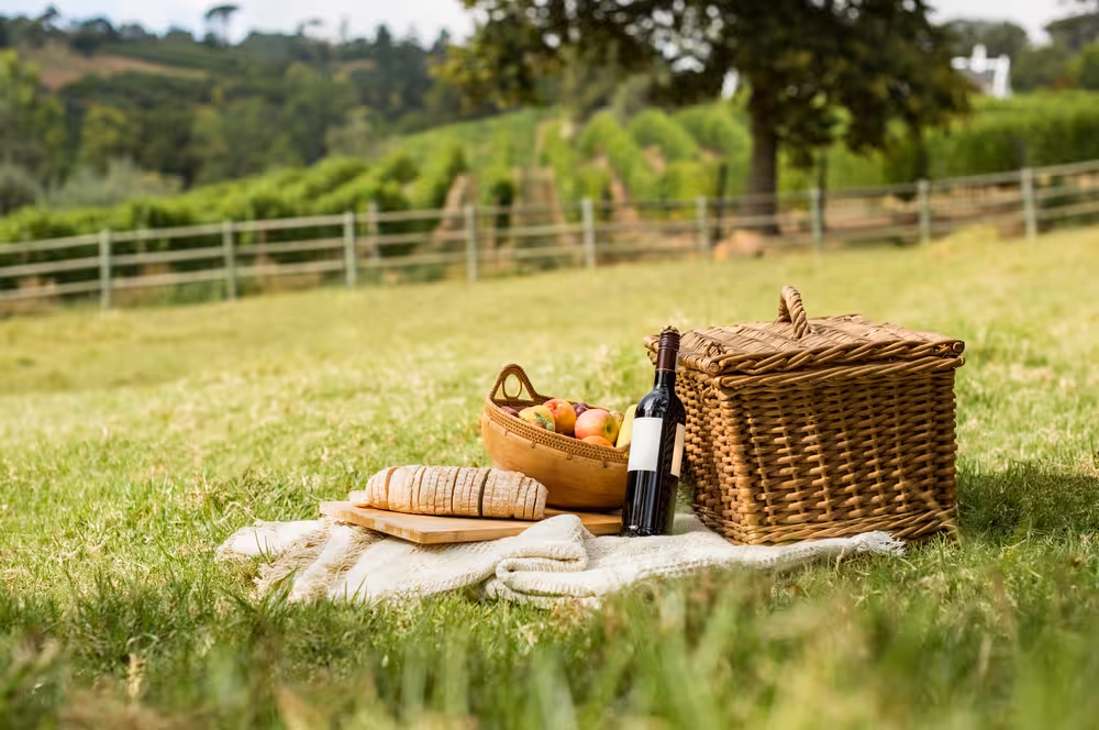 Picnic setup with wine, bread, and fruit in a serene Tuscan vineyard setting, perfect for a San Gimignano tour.