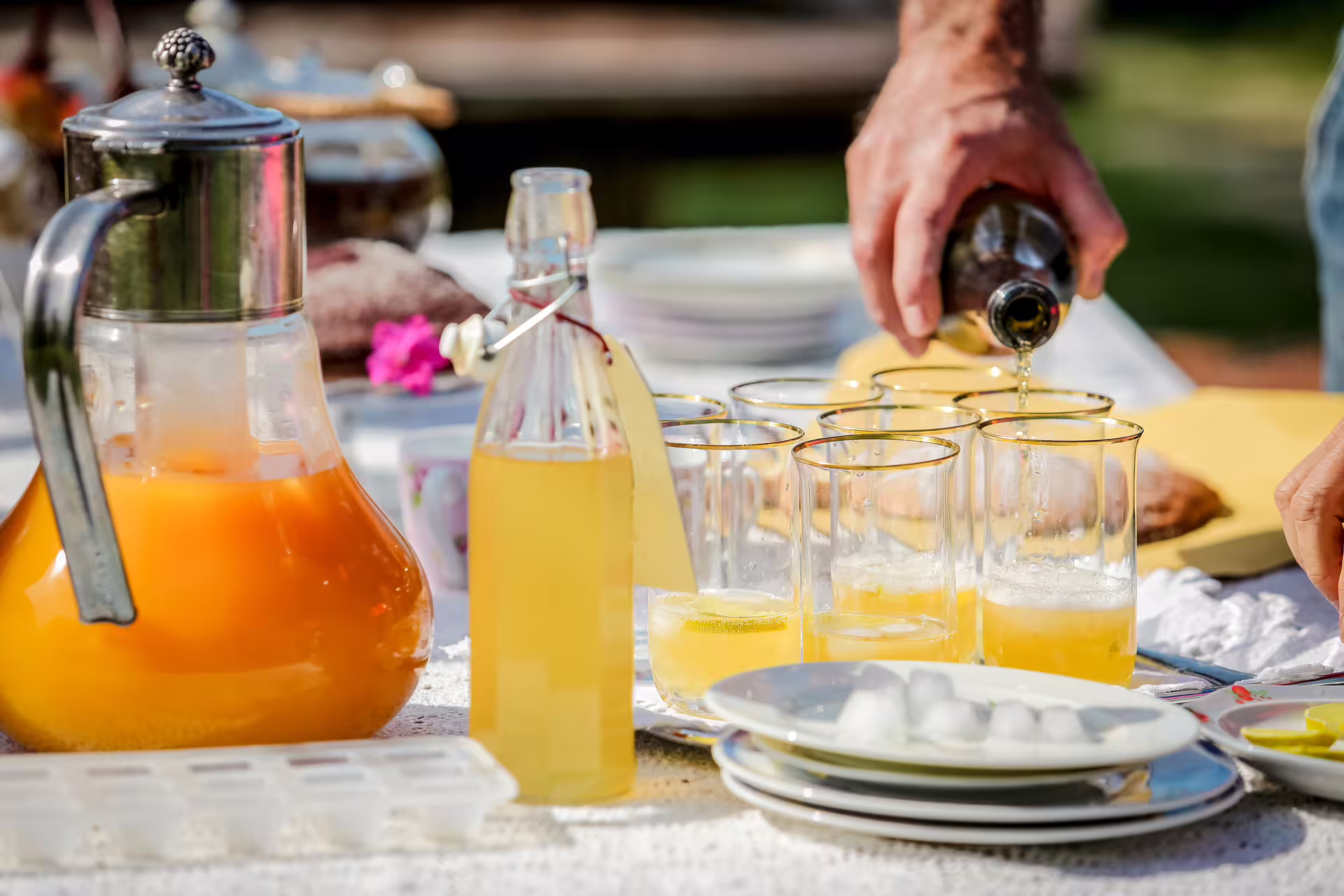 Outdoor farm aperitivo with local drinks on San Leo Cashmere grazing with the shepherd tour in Italy