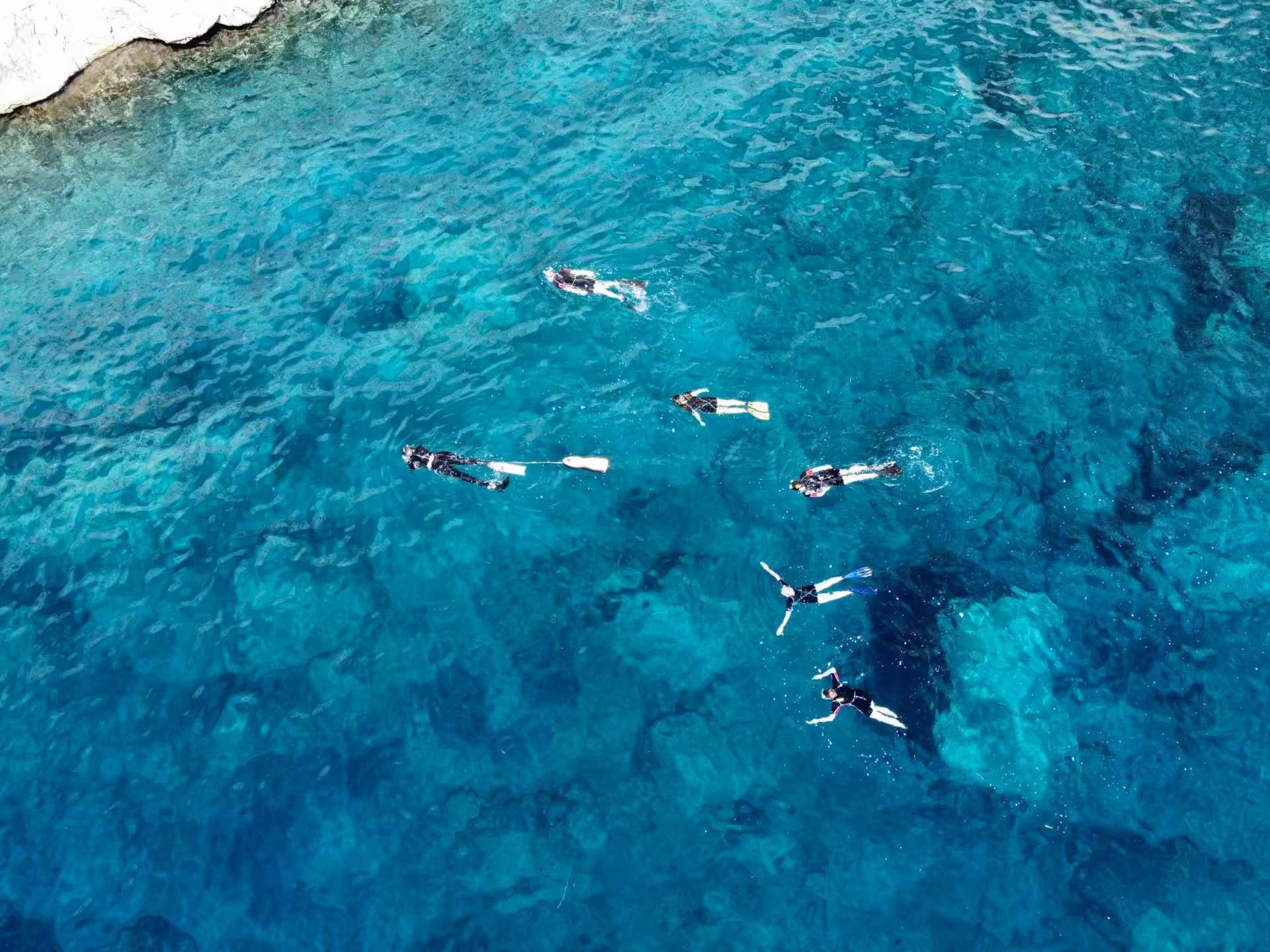Group of snorkelers exploring the vibrant underwater world in the clear blue waters of Molara.