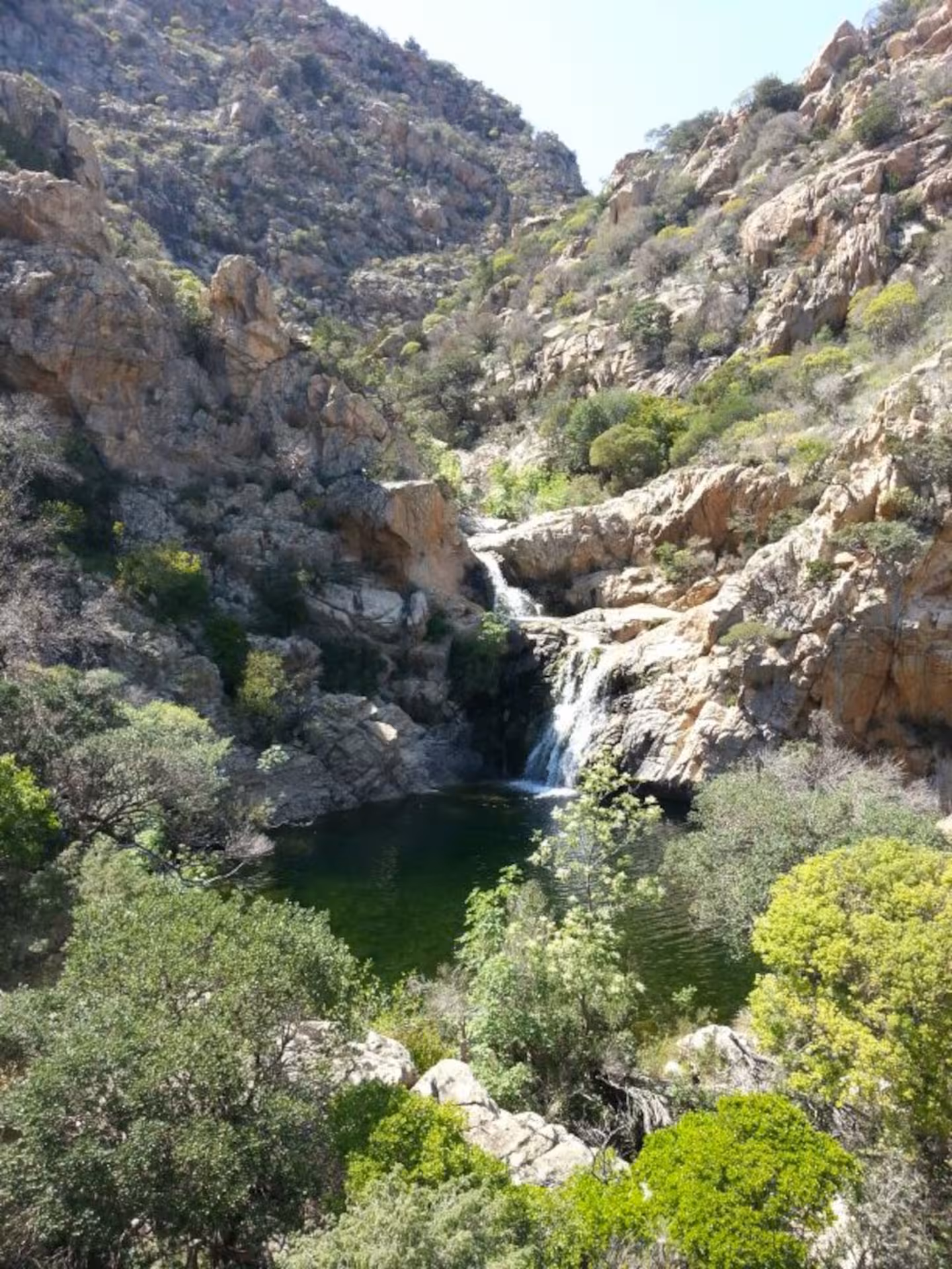 Serene waterfall cascades into a lush green pool amidst rugged cliffs on the Rio Pitrisconi trek in San Teodoro.