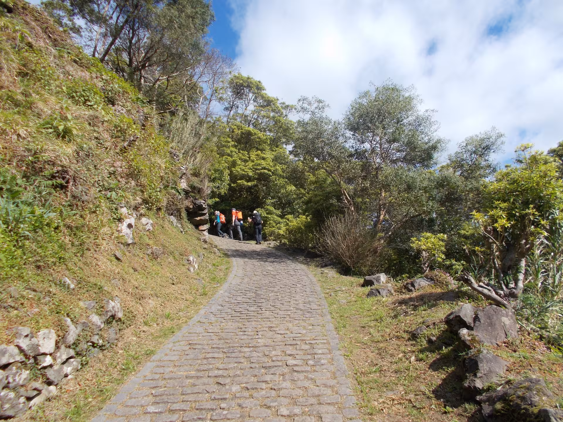 Hikers on cobblestone path through lush forest on the Sanguinho Walking Tour all day in the Azores