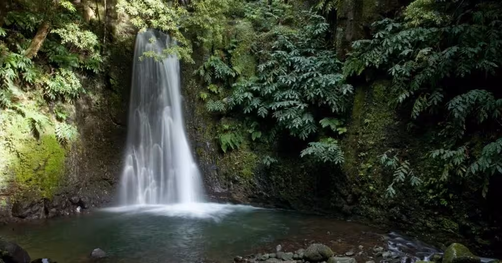 Hidden rainforest waterfall and natural pool stop on the Sanguinho all-day walking tour in São Miguel