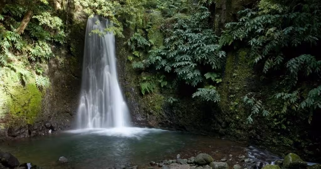 Silky waterfall in lush ravine on the Sanguinho Walking Tour all-day trek near Nordeste, Sao Miguel Azores
