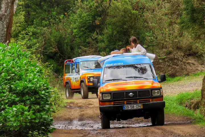 Colorful 4WD vehicles navigate through lush forest trails in Madeira during the Full Day Santana Wonders and Northeast tour adventure.