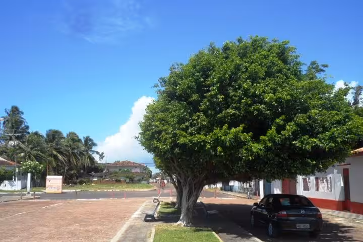 Shaded street and colonial houses in Santarém do Pará, Brazil, featured stop on a city sightseeing tour