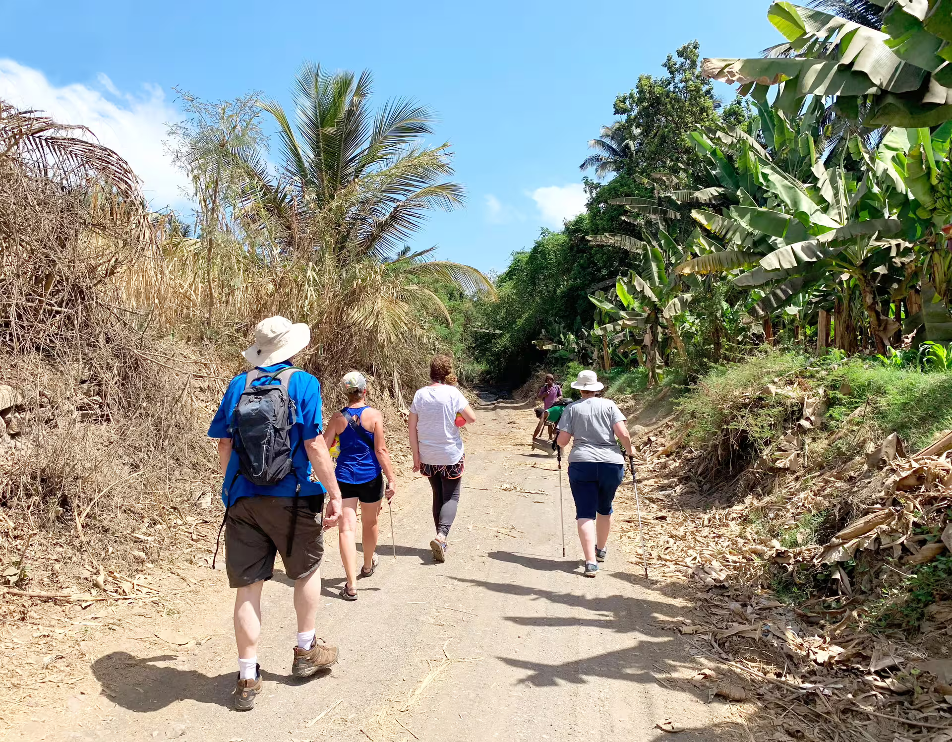 Tourists walking along a scenic path lined with banana trees on Santiago Island's plantation tour.