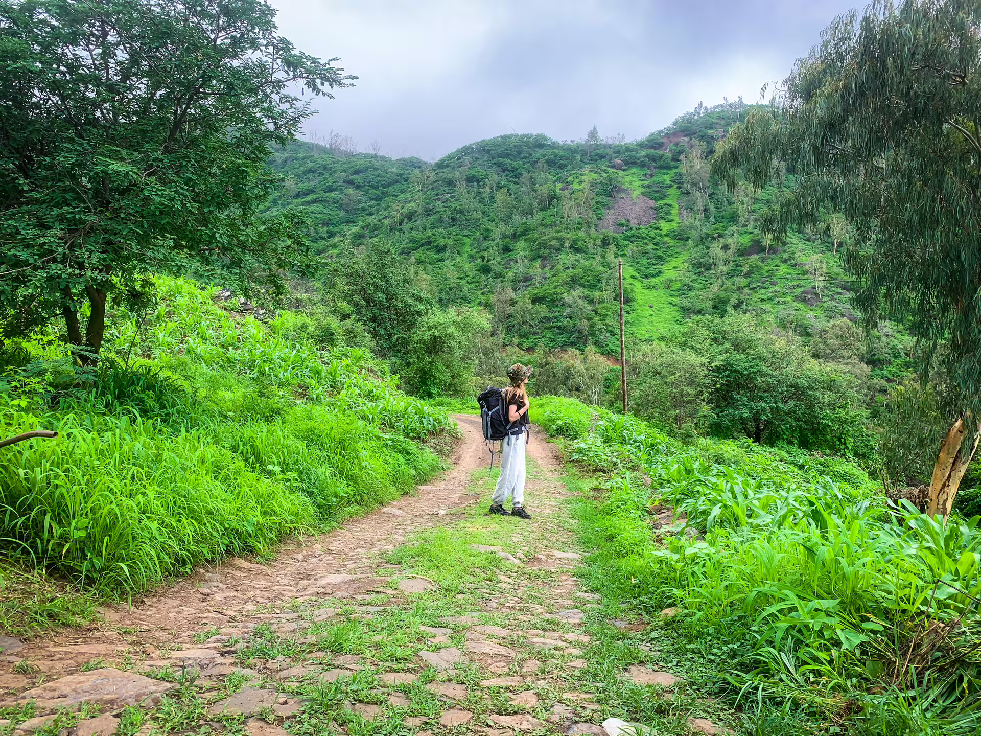 Hiker exploring lush green trail on Santiago Island's Rui Vaz, Longueira hike trip, surrounded by verdant hills.