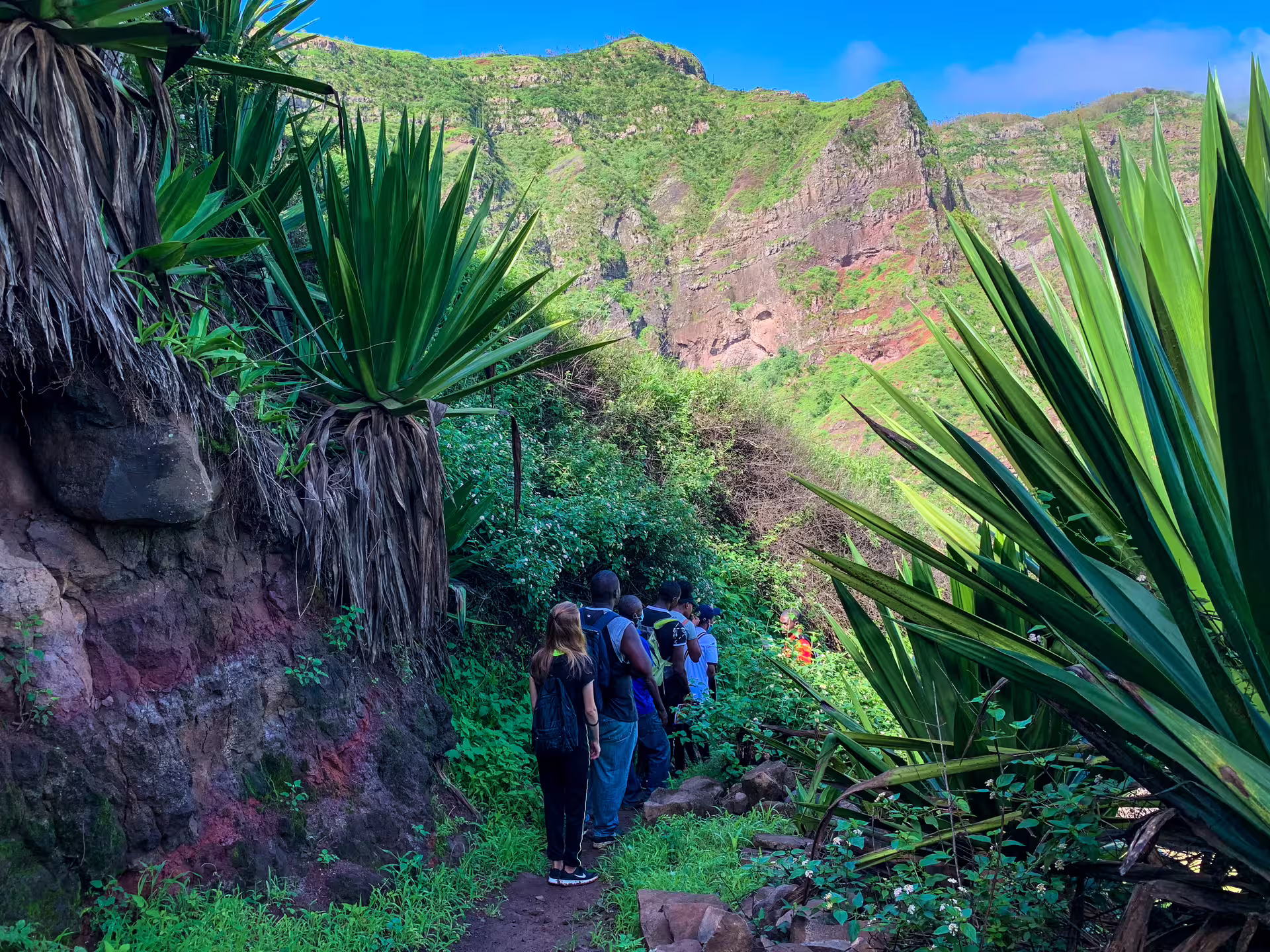 Group of hikers explore the vibrant and rocky landscape of Santiago Island's Rui Vaz trail under a clear blue sky.