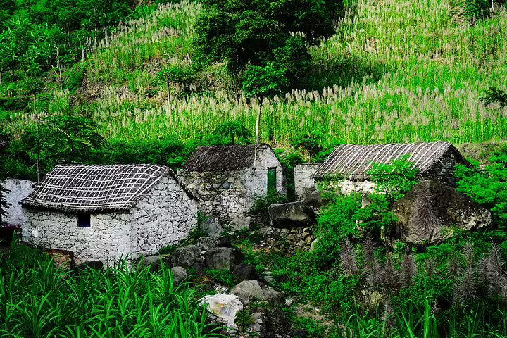 Rustic stone houses nestled in lush greenery on Santo Antão, ideal for exploring Cova de Paúl Volcano Crater.