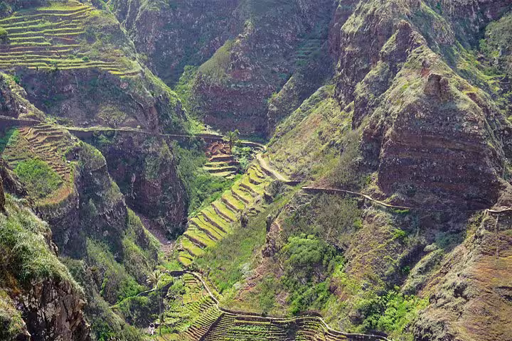 Lush terraced fields nestled in the verdant valleys of Santo Antão, ideal for hiking adventures.