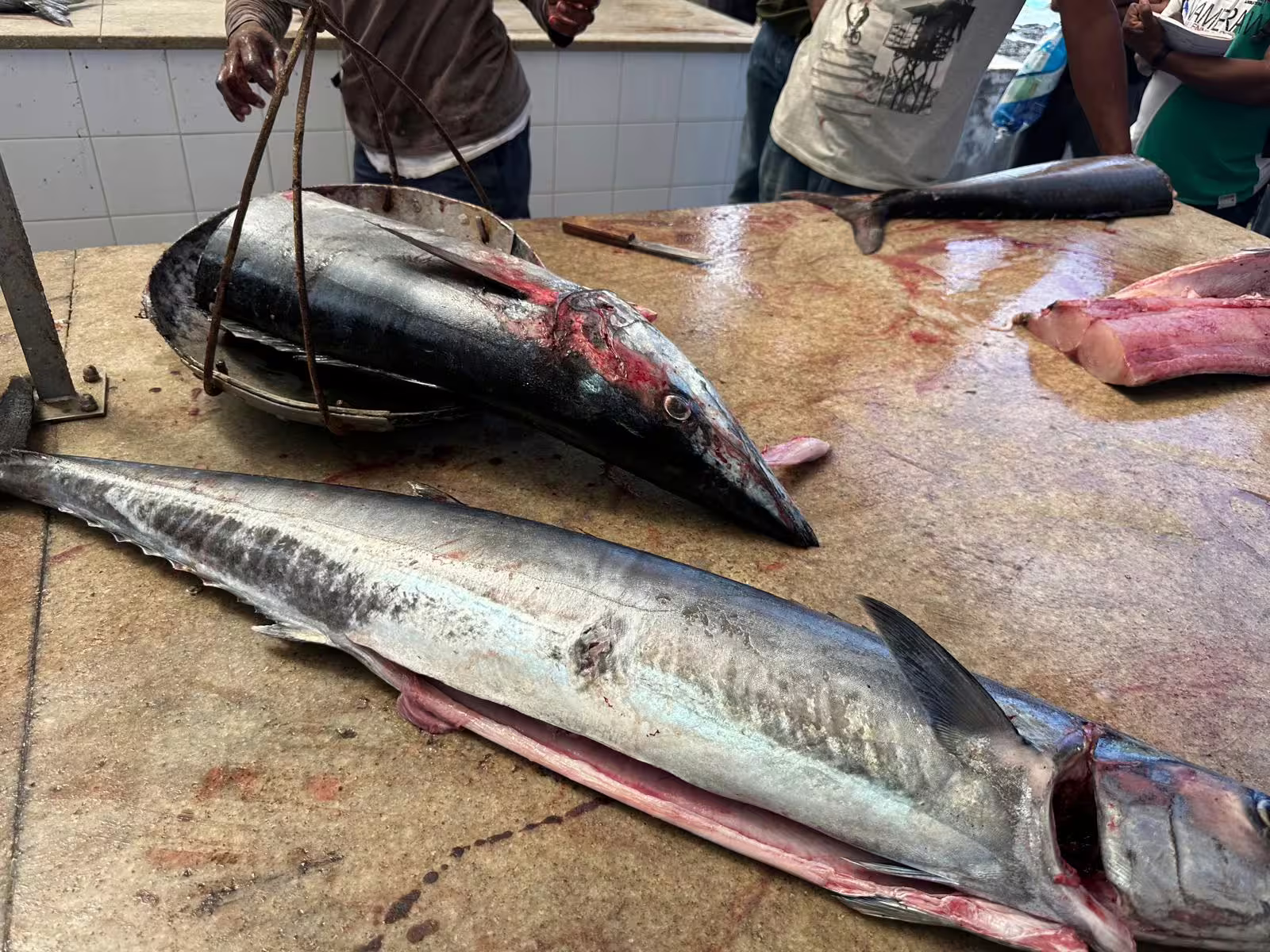 Freshly caught fish being prepared at a local market in Santo Antão, showcasing authentic island life on a day trip from São Vicente.