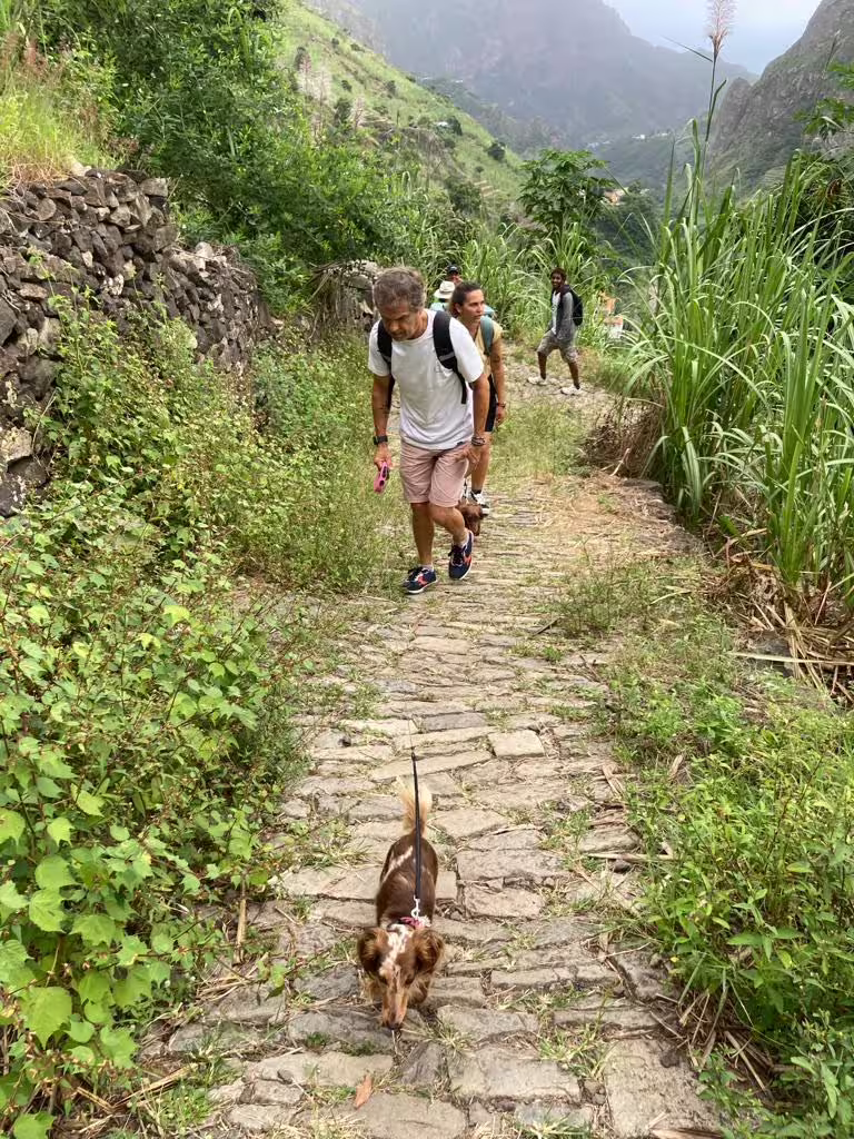 Hikers explore the lush, scenic trails of Santo Antão's Valley of Paul, Cape Verde, surrounded by vibrant greenery and mountains.