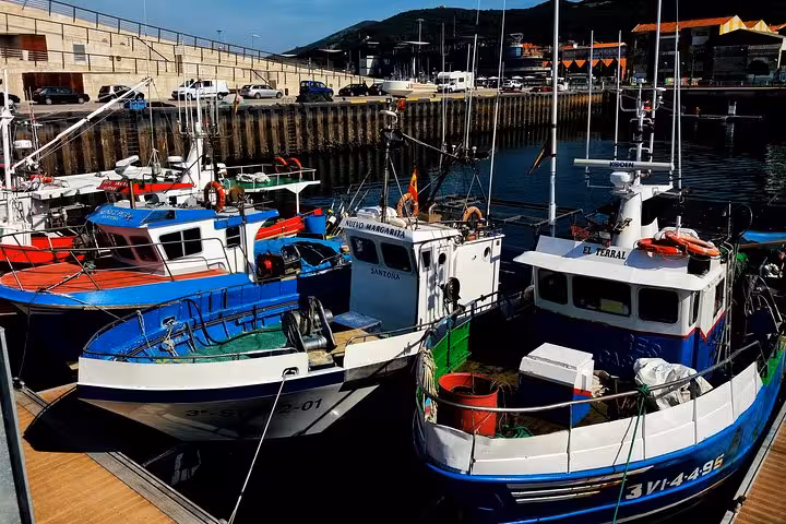 Colorful fishing boats docked in Santoña harbor, ready for an authentic Spanish boat trip adventure.