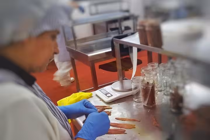 Worker preparing anchovies in a Santoña factory, showcasing traditional methods in a bustling production setting.