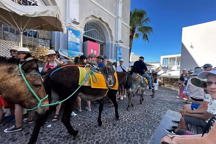 Donkey caravan on cobblestone lane in Santorini, a classic stop on Island of Thera one-day tour with lunch