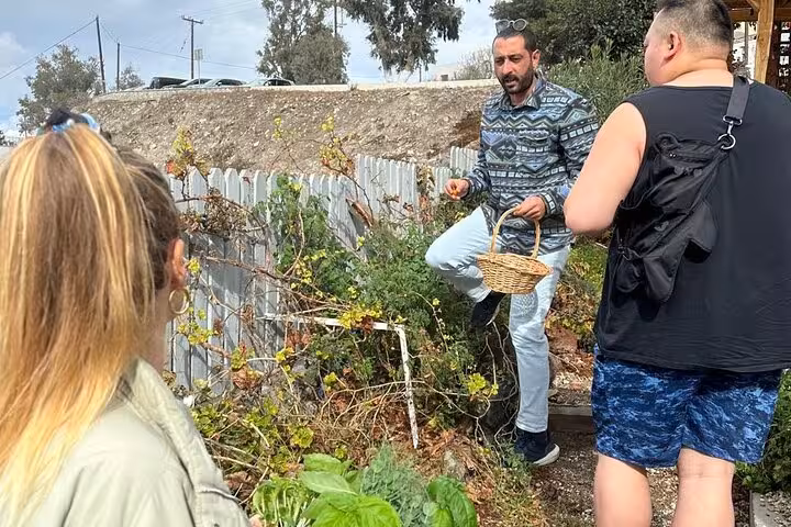 Guests harvesting fresh herbs with local host on Santorini farm tour, part of authentic villages lunch