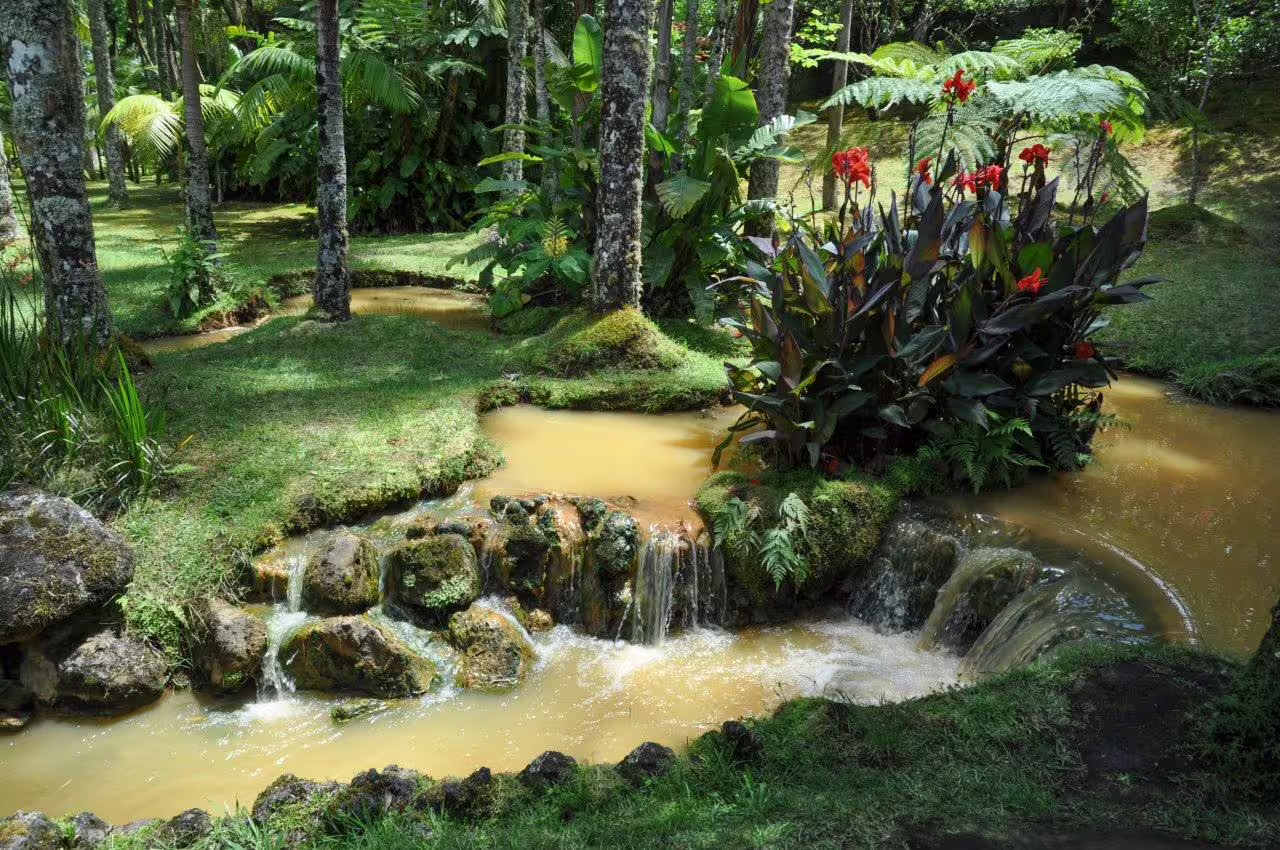 Lush tropical garden with vibrant red flowers and a small cascading waterfall on São Miguel Island, Azores.