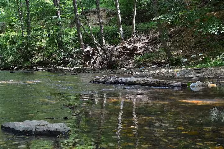 Clear forest stream in Masukiye near Sapanca, a tranquil nature stop on an Istanbul day trip with lunch