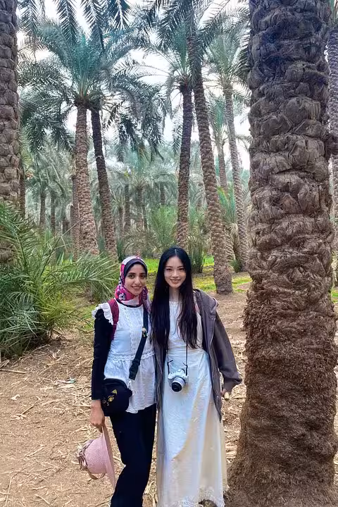 Guests in a palm grove near Memphis on Saqqara Dahshur tour, eco-friendly Cairo day trip with charity support