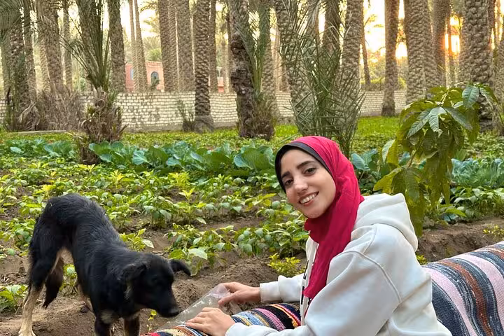 Tour guest feeding a stray dog in a lush Memphis farm oasis on Saqqara Dahshur day trip with rescue donation