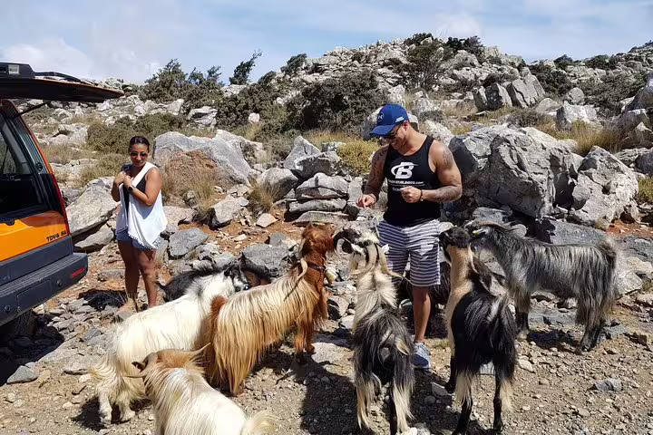 Tourists interacting with goats by a rocky landscape near Kritza, highlighting the rustic charm of the South Coast.