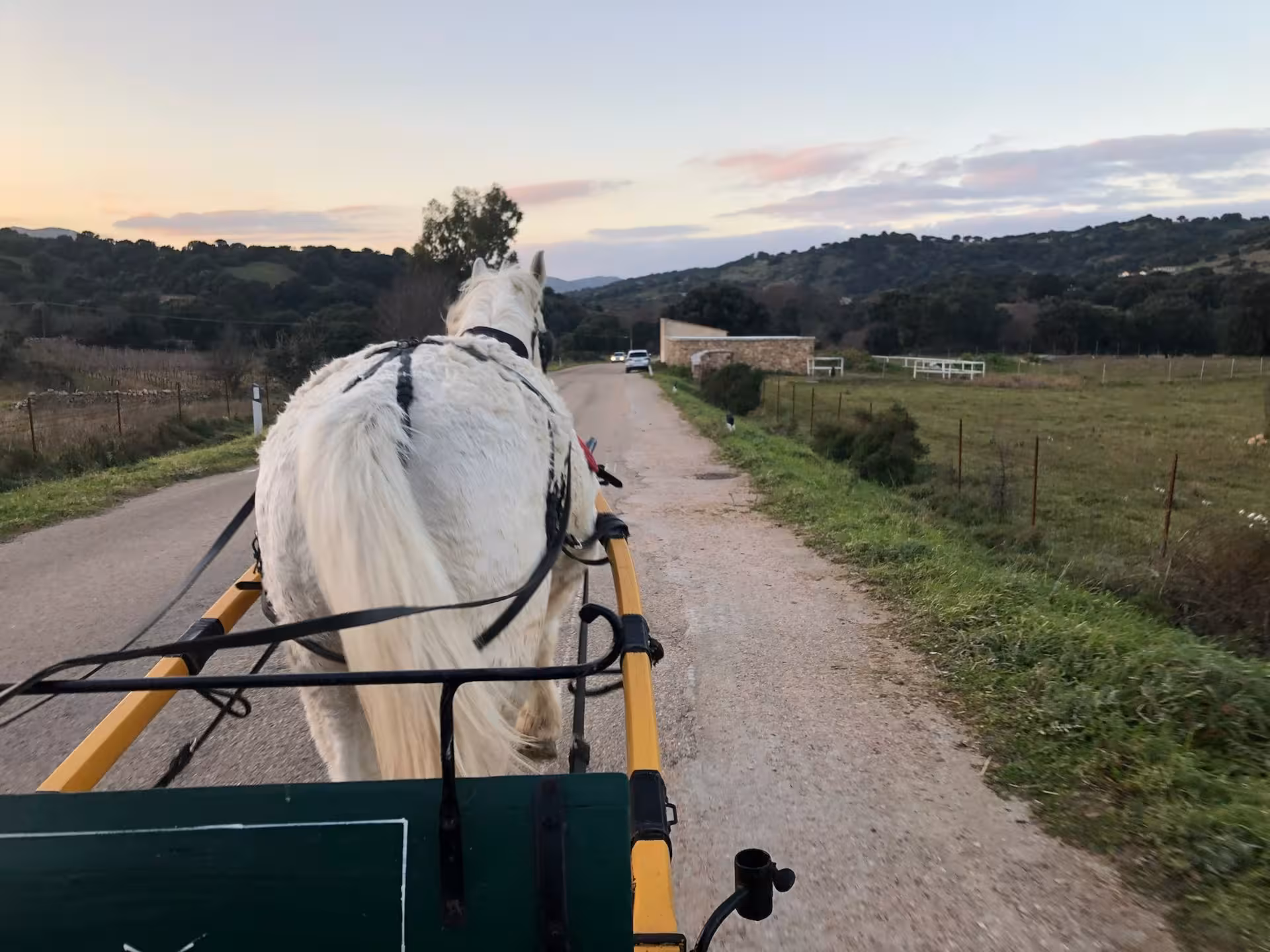 Horse-drawn carriage traveling through scenic Sardinian countryside near Olbia village workshop.