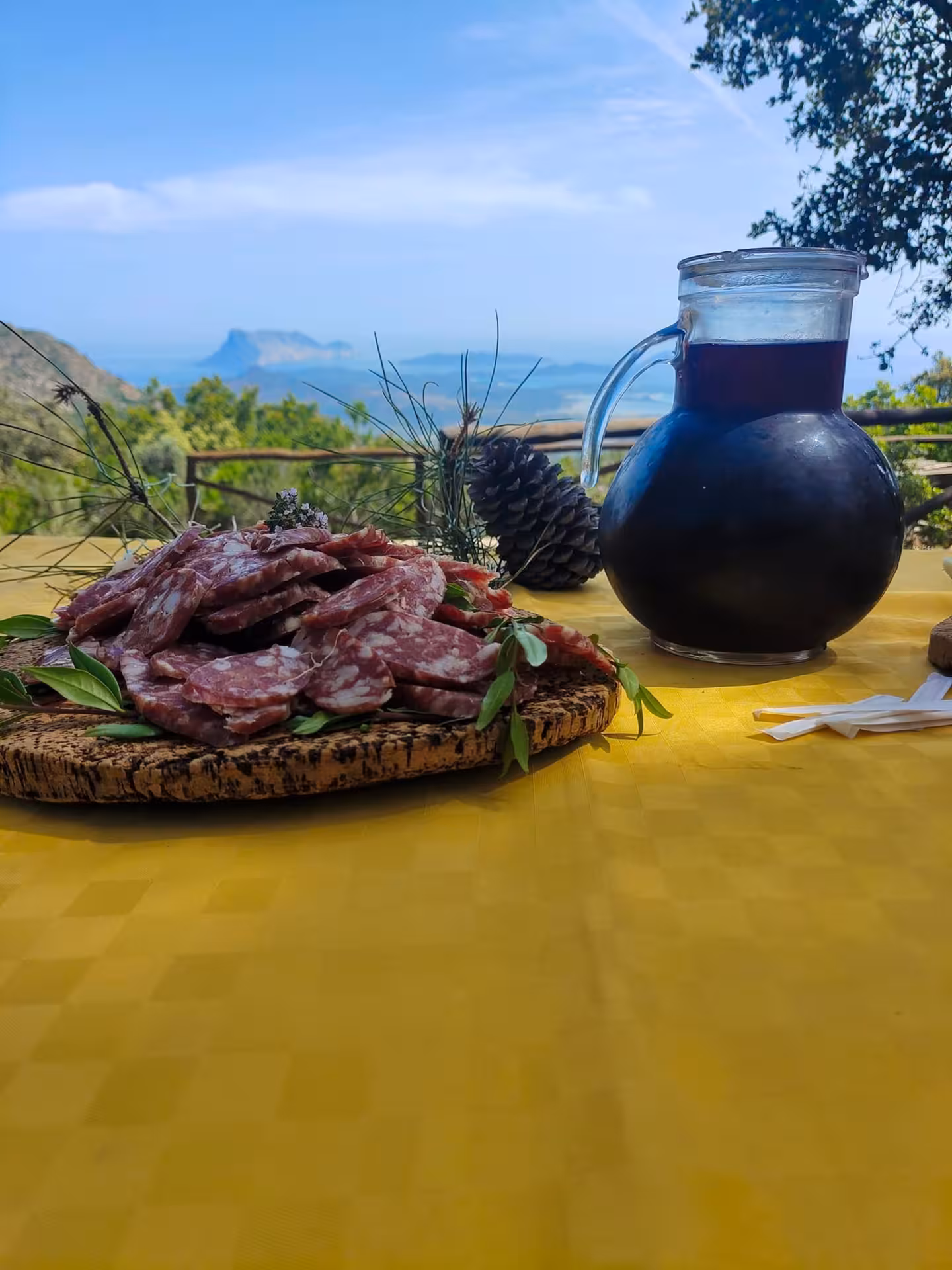 Traditional Sardinian salami and wine set against a breathtaking ocean backdrop on the Rio Pitrisconi jeep tour.