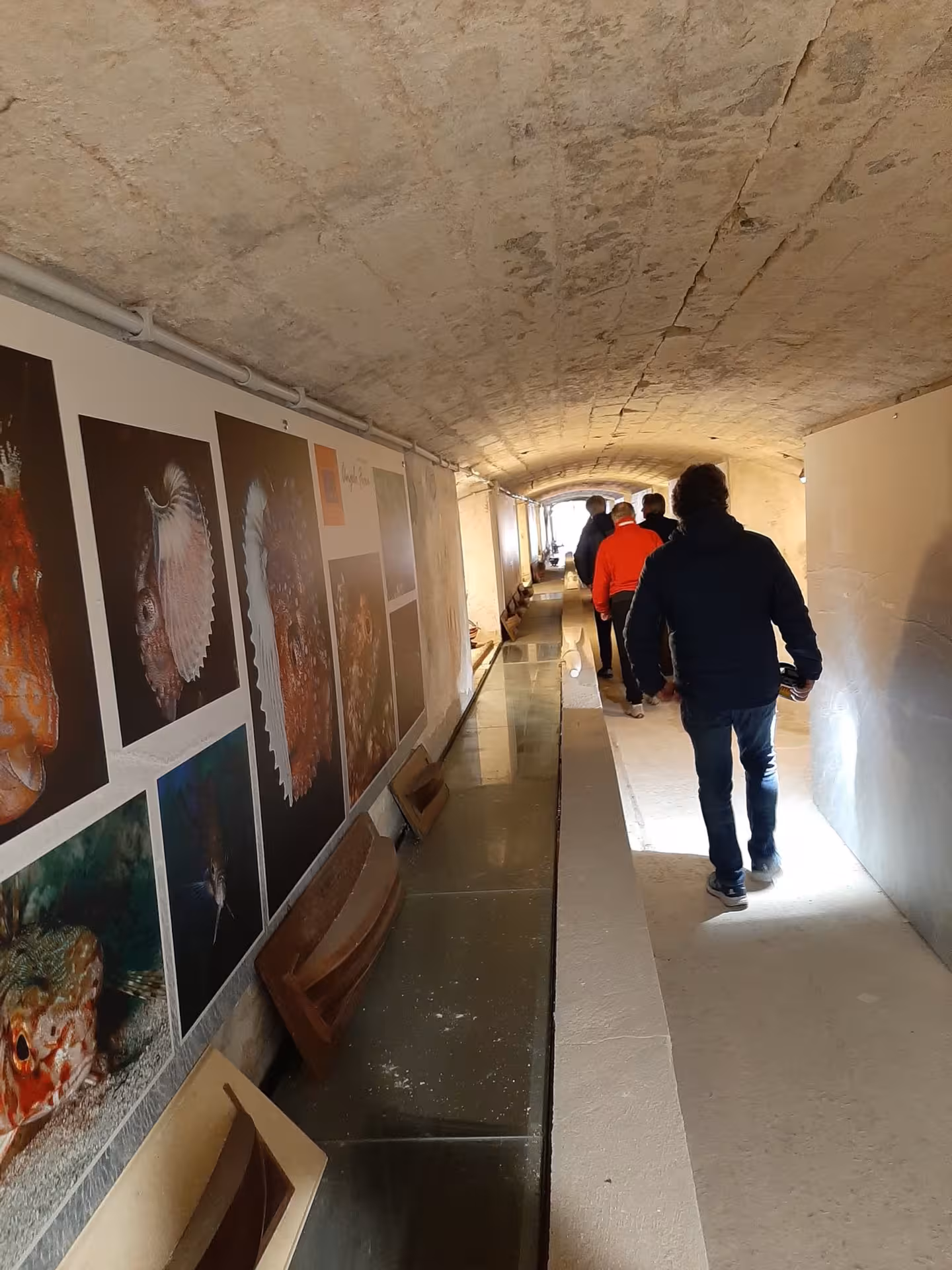 Visitors explore the Sea and Water Ecomuseum in Sassari, admiring marine life exhibits along a historic corridor.